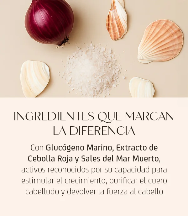 Nuggela sule ingredientes que marcan la diferencia Nuggela sule ingredientes que marcan la diferencia