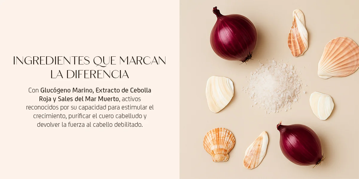 Nuggela sule ingredientes que marcan la diferencia Nuggela sule ingredientes que marcan la diferencia